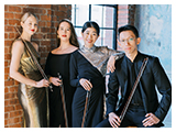 Terra String Quartet